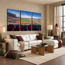 Ball State Cardinals Football Team Print - Muncie Scheumann