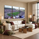 The Texas Christian University TCU Horned Frogs Football