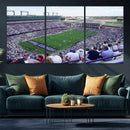 The Texas Christian University TCU Horned Frogs Football