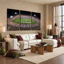 The University of Connecticut UCONN Huskies Football Team