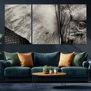 Elephant Wall Art Canvas Print