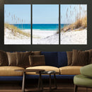 Serene Coastal Dune Path with Ocean View, 3-Panel Beach