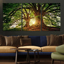 Majestic Ancient Tree Wall Art, NatureCanvas Print, Woodland by MyGreatCanvas | Canvas Wall Art Prints | Photo Prints & Wall Decor