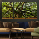 Angel Oak Tree Wall Art Canvas Print | Forest Tree Nature by MyGreatCanvas | Canvas Wall Art Prints | Photo Prints & Wall Decor