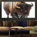 Bison Wall Art Canvas Print For Farmhouse, Wild Animal Wall by MyGreatCanvas | Canvas Wall Art Prints | Photo Prints & Wall Decor