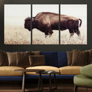 Bison in Field Wall Art Canvas Print For Farmhouse Barn