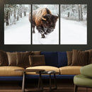 Bison Wall Art Canvas Print For Farmhouse, Animal Canvas
