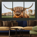 Highland Cow Animal Scottish Cattle Art Print Farmhouse Wall