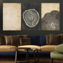 Tree Rings Canvas Wall Art Print – Minimalist Natural