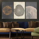 Boho Tree Ring Wall Art, Modern Minimalist Wood Grain