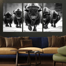 American Bison Art | Buffalo Herd Wall Art Canvas Print, BW