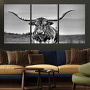 Texas Longhorn Cow Wall Art, Texas Longhorn Canvas, Cattle