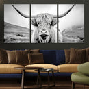 Scottish Cow Wall Art Canvas Print