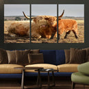 Highland Cow Canvas Wall Art Animal Print for Farm House