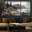 Serene Coastal View of Acadia National Park - Stunning