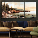 Serene Coastal View of Acadia National Park Wall Art -