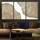 Rustic Brown Tree Ring Wall Art Canvas Print – Framed and