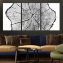 Rustic Tree Ring Wall Art Canvas Print – Framed and Ready to