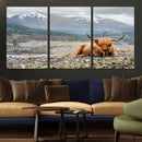 Highland Cow Horn Farm Wall Art Canvas Print