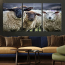 Charming Sheep Portrait Wall Art – Trio of Woolly Companions by MyGreatCanvas | Canvas Wall Art Prints | Photo Prints & Wall Decor