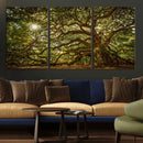 Ancient Angel Oak Tree Art Sunburst Canvas Print-