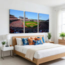 Cincinnati Reds Baseball Canvas Print - American Ball