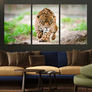 Leopard on the Prowl - Stunning Large Framed Leopard Wall