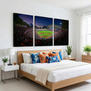 Houston Astros Baseball Print Canvas - Houston Minute Maid