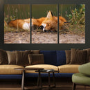 Sleeping Fox Wall Art Canvas Print, Farmhouse Wall Decor and