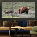Wildlife Photography of 399 Grizzly Bear Cubs | Queen of the