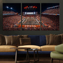 Texas Stadium Night Game Wall Art Canvas Print – Vibrant
