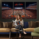 Texas Stadium Night Game Wall Art Canvas Print – Vibrant