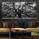 Black and White Old Angel Oak Tree Wall Art Canvas Print by MyGreatCanvas | Canvas Wall Art Prints | Photo Prints & Wall Decor