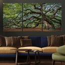 Historic Tree Wall Art – Framed Mossy Branch Canvas Artwork, by MyGreatCanvas | Canvas Wall Art Prints | Photo Prints & Wall Decor