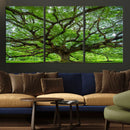 Ancient Tree Wall Art Canvas Print, Framed Sprawling by MyGreatCanvas | Canvas Wall Art Prints | Photo Prints & Wall Decor