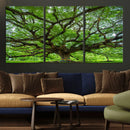 Angel Oak Tree Wall Art Canvas Print – Framed Majestic