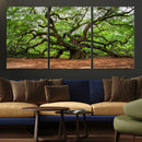 Majestic Oak Tree Wall Art Canvas Print – Ancient Branches by MyGreatCanvas | Canvas Wall Art Prints | Photo Prints & Wall Decor