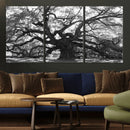 Ancient Oak Wall Art Canvas Print – Gnarled Tree Twisted by MyGreatCanvas | Canvas Wall Art Prints | Photo Prints & Wall Decor