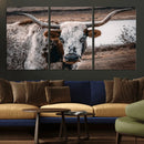Texas Longhorn Wall Art Canvas Print – Framed Spotted Bull