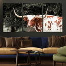 Texas Longhorn Wall Art Canvas Print – Framed Spotted Bull