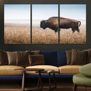 Wild Bison Wall Art – Framed Prairie Landscape Canvas by MyGreatCanvas | Canvas Wall Art Prints | Photo Prints & Wall Decor