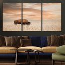MyCanvas -