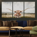 Texas Longhorn Wall Art Canvas Print – Framed Western Cow