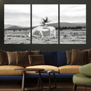 White Horse Wall Art Canvas Print – Framed Woman Rider