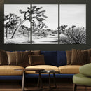 Joshua Tree Wall Art – Black & White Canvas Print, Nature by MyGreatCanvas | Canvas Wall Art Prints | Photo Prints & Wall Decor
