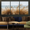 Beach Grass Wall Art – Framed Coastal Dunes Canvas Artwork, by MyGreatCanvas | Canvas Wall Art Prints | Photo Prints & Wall Decor
