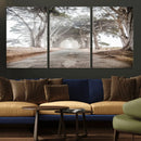 Cypress Tunnel Wall Art – Framed Misty Road Canvas Artwork, by MyGreatCanvas | Canvas Wall Art Prints | Photo Prints & Wall Decor