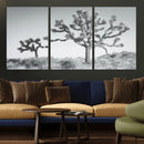 Joshua Trees Wall Art Canvas Print – Framed Black White