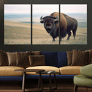 Bison Wall Art Canvas Print – Framed Buffalo American Bison