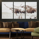 Longhorn Wall Art Canvas Print – Framed Western Cow Rustic